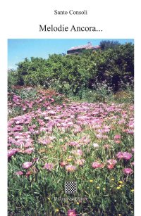 Immagine copertina libro Melodie ancora... Emozioni sempre...