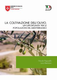 Immagine copertina libro Il romanzo perduto e... ritrovato. Nuova ediz.