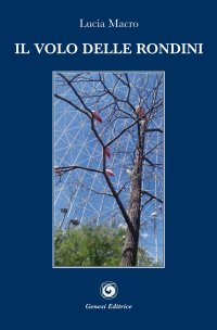 Immagine copertina libro Il volo delle rondini