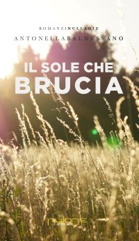 Immagine copertina libro Il sole che brucia