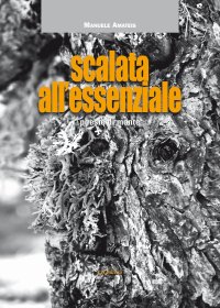 Immagine copertina libro Scalata all'Essenziale