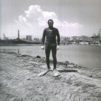 Immagine copertina libro Nuova terra ferma. Ediz. illustrata