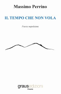 Immagine copertina libro Il tempo che non vola. Testo napoletano