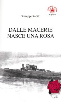 Immagine copertina libro Dalle macerie nasce una rosa