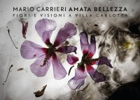 Immagine copertina libro Mario Carrieri. Amata bellezza. Fiori e visioni a Villa Carlotta. Ediz. italiana e inglese