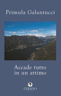 Immagine copertina libro Accade tutto in un attimo