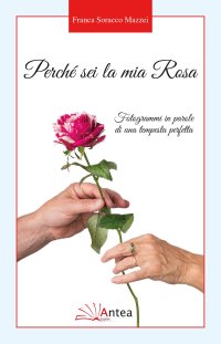 Immagine copertina libro Perché sei la mia Rosa. Fotogrammi in parole di una tempesta perfetta