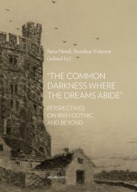 Immagine copertina libro «The common darkness where the dreams abide». Perspectives on Irish gothic and beyond
