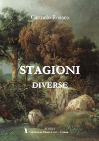 Immagine copertina libro Stagioni diverse