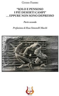 Immagine copertina libro «Solo e pensoso i più deserti campi»... Eppure non sono depresso. Parte seconda