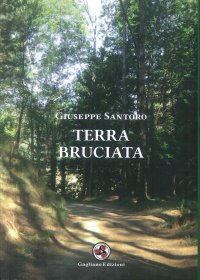Immagine copertina libro Terra bruciata