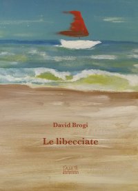 Immagine copertina libro Le libecciate