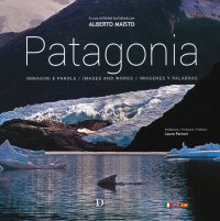 Immagine copertina libro Patagonia. Immagini e parole. Ediz. italiana, inglese e spagnola