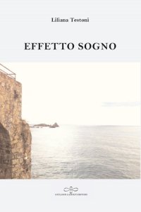 Immagine copertina libro Effetto sogno
