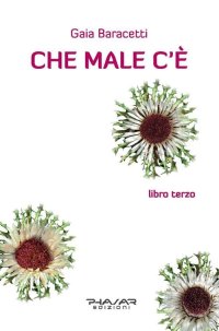 Immagine copertina libro Che male c'è. Libro terzo