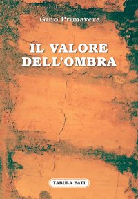 Immagine copertina libro Il valore dell'ombra