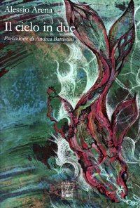 Immagine copertina libro Il cielo in due