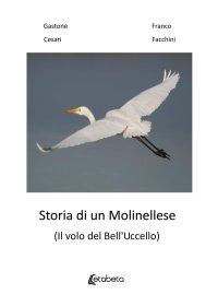 Immagine copertina libro Storia di un molinellese (Il volo del Bell'Uccello)