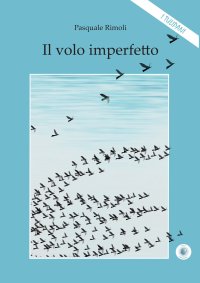 Immagine copertina libro Il volo imperfetto