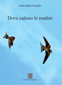 Immagine copertina libro Dove cadono le rondini