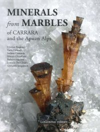 Immagine copertina libro Minerals from marbles of Carrara and the Apuan Alps. Ediz. a colori