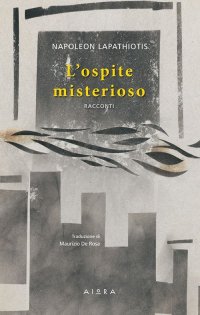 Immagine copertina libro L'ospite misterioso