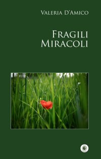 Immagine copertina libro Fragili miracoli