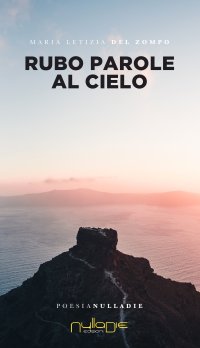 Immagine copertina libro Rubo parole al cielo