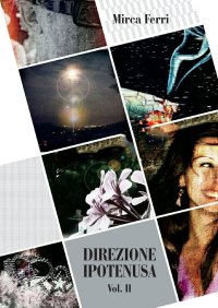 Immagine copertina libro Direzione ipotenusa. Vol. 2