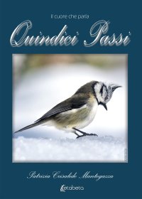 Immagine copertina libro Quindici passi