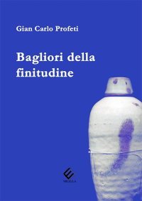 Immagine copertina libro Bagliori della finitudine