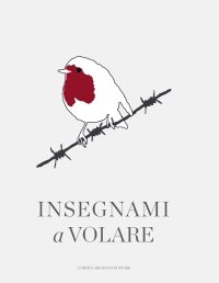 Immagine copertina libro Insegnami a volare