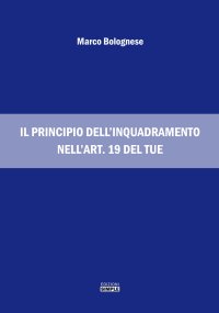 Immagine copertina libro Il principio dell'inquadramento nell'art. 19 del TUE