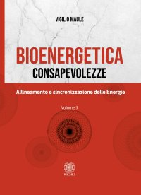 Immagine copertina libro Bioenergetica. Consapevolezze. Vol. 3: Allineamento e sincronizzazione delle energie