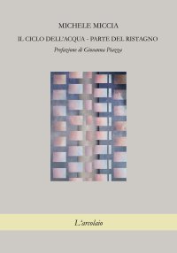 Immagine copertina libro Il ciclo dell'acqua. Parte del ristagno