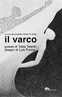 Immagine copertina libro Il varco