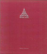 Immagine copertina libro Trieste. I palazzi delle istituzioni. Ediz. illustrata