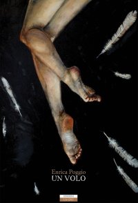 Immagine copertina libro Un volo