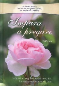 Immagine copertina libro Impara a pregare. Nella vera preghiera sperimenti Dio. La vera preghiera rende felici