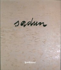Immagine copertina libro Sadun