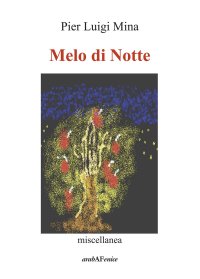 Immagine copertina libro Melo di notte