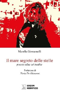 Immagine copertina libro Il mare segreto delle stelle