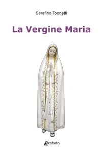 Immagine copertina libro La Vergine Maria