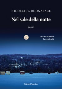Immagine copertina libro Nel sale della notte