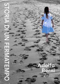 Immagine copertina libro Storia di un fermatempo. Nuova ediz.