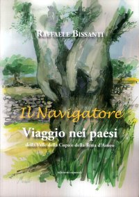 Immagine copertina libro Il navigatore. Viaggio nei paesi della Valle della Cupa e della terra d'Arneo