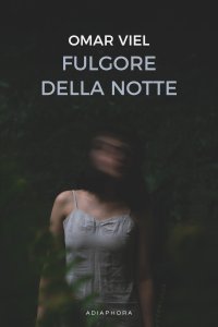Immagine copertina libro Fulgore della notte