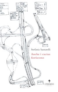 Immagine copertina libro Anche i cactus fioriscono