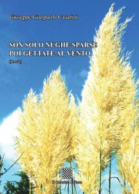 Immagine copertina libro Son solo nughe sparse poi gettate al vento