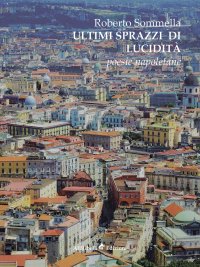 Immagine copertina libro Ultimi sprazzi di lucidità